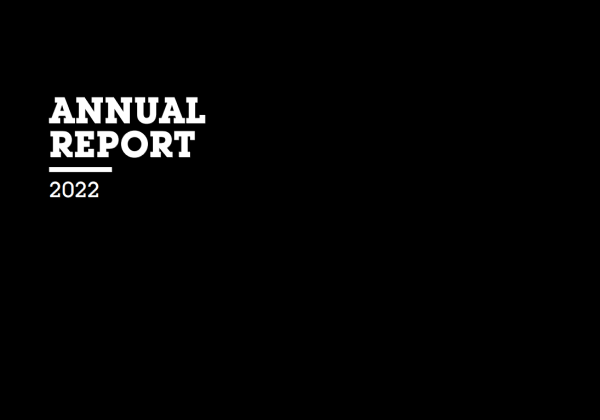 Raport roczny 2022
